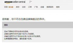 亚马逊品牌旗舰店，卖家们需要了解的二三事儿