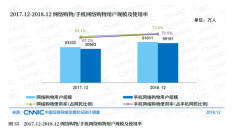 CNNIC第43次《中国互联网络发展状况统计报告》