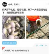 网友对帖子的奇葩回复，再一次刷新了“神回复”这一概念