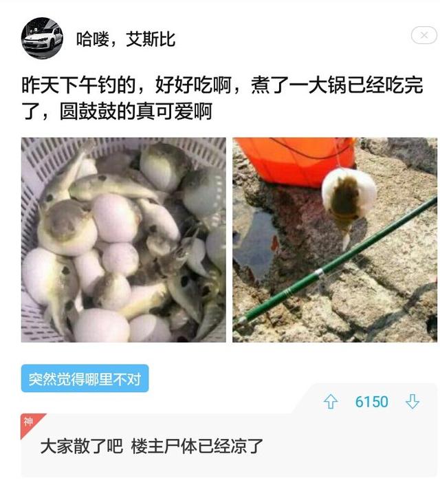 网友对帖子的奇葩回复，再一次刷新了“神回复”这一概念