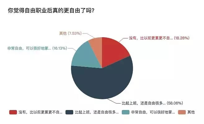 一份详细的报表，揭秘自由职业生存现状 思考 心情感悟 IT职场 好文分享 第10张