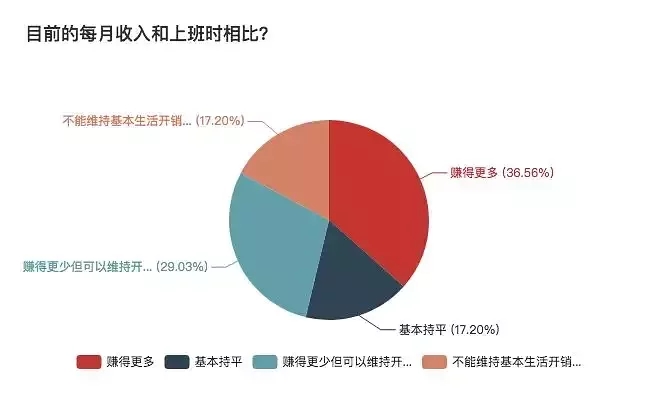 一份详细的报表，揭秘自由职业生存现状 思考 心情感悟 IT职场 好文分享 第6张