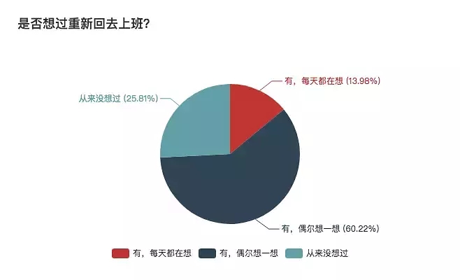 一份详细的报表，揭秘自由职业生存现状 思考 心情感悟 IT职场 好文分享 第13张