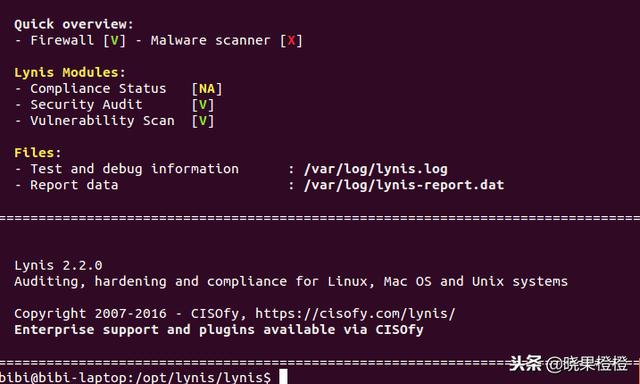 安装使用lynis扫描Linux的安全漏洞
