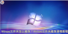 winsxs怎么删除