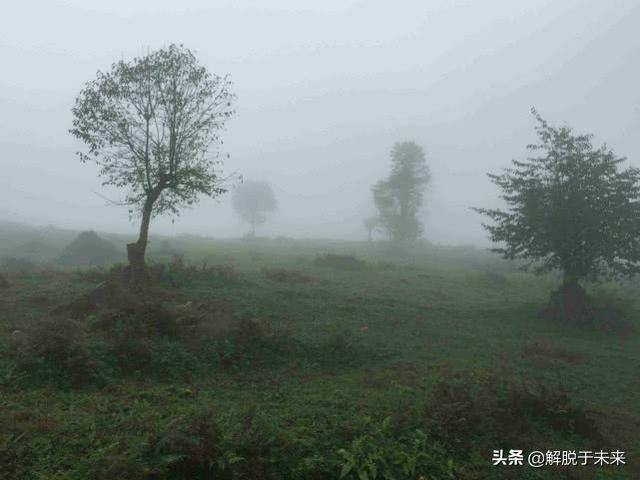 中国十大未解之谜：有的太诡异，可能永远无法解开