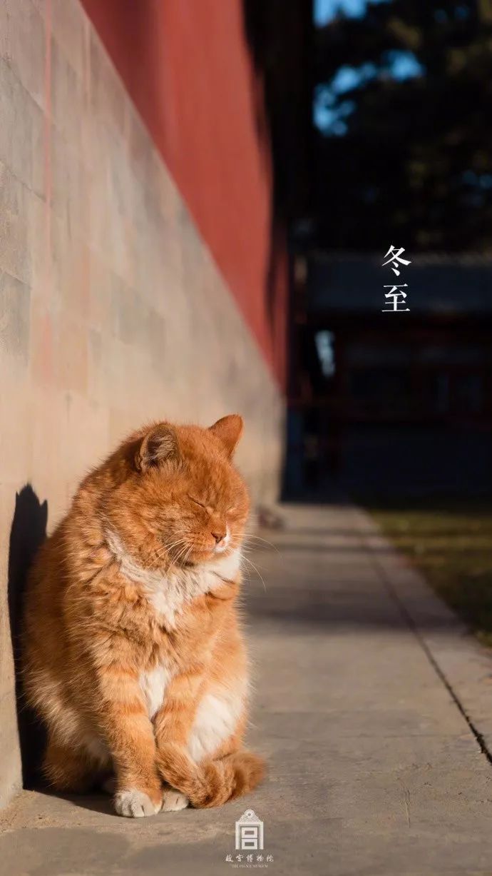 冬至文案合集，这个冬天我们不冷!