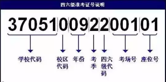 支付宝微信可查四六级成绩