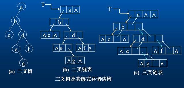 除了编程语言，程序员还应该学习什么？