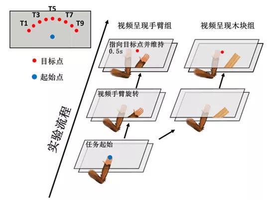 图1 人和猕猴实验设备和行为学任务示意图