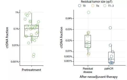 ▲测量患者ctDNA含量有助于判断对术前辅助治疗的反应（图片来源：参考资料[1]）