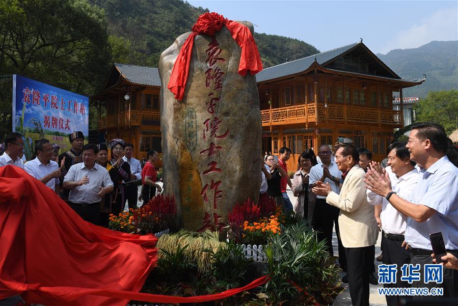 10月9日，在广西灌阳县新圩镇小龙村，袁隆平院士（前右三）出席工作站揭牌仪式。新华社记者 陆波岸 摄