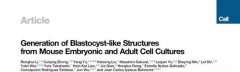 干细胞研究再迎突破！有望回答生命早期发育之谜