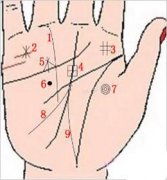 手相中的九大财富线，你有哪几个？（位置详解如图）