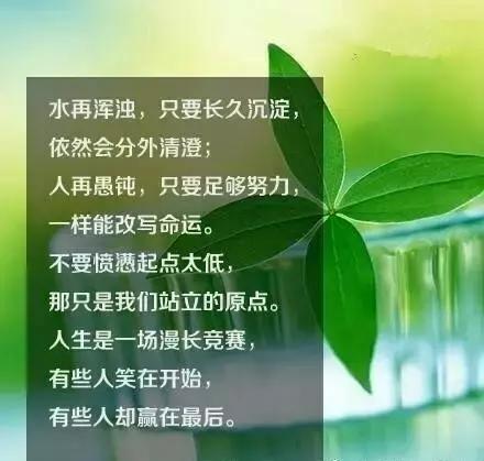 牢记：努力是一种态度，与年龄、命运无关！