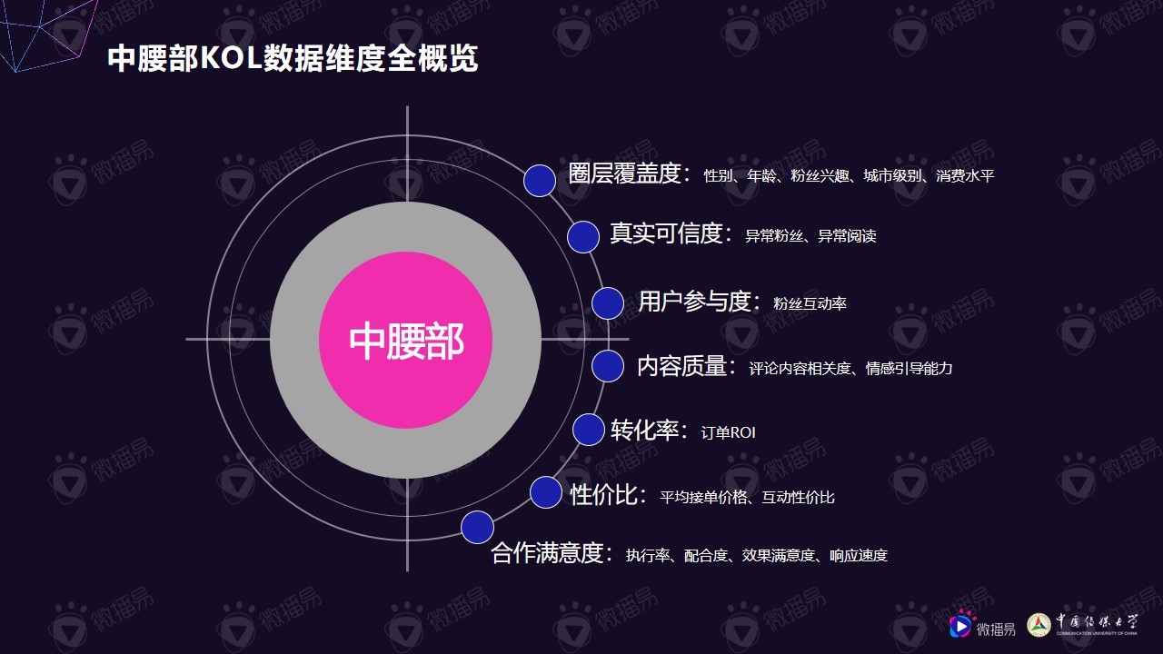 小个体有大势能：2020年中腰部KOL营销发展报告