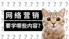 想做网络营销，要学习哪些内容？