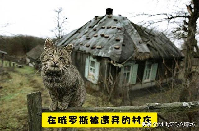 即便是科学家们也还没能够完全解释清楚的10个秘密