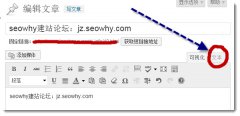 SEO建站:wordpress如何在文章中插入视频（图文）