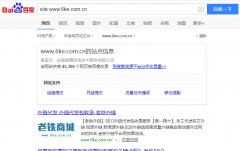 SEO命令site:domain:网站域名详解