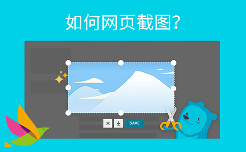 SEO资源:如何网页截图？