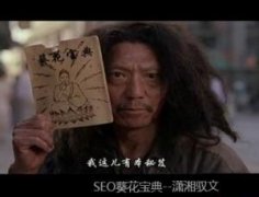 SEO葵花宝典 成就万千SEO顶级大师