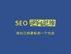 天企网络：SEO优化的策略技巧有哪些？