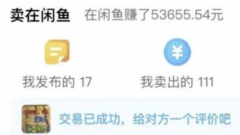 闲鱼怎么赚钱？工作之余在闲鱼赚5万元的心得