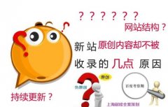 网站不被搜索引擎收录是什么原因？不收录该怎么办？