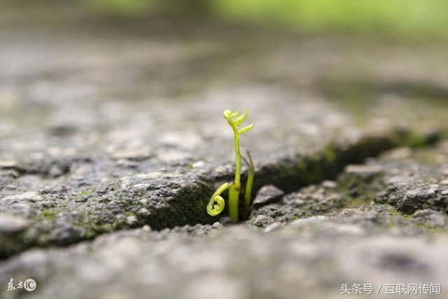 如何让网站有排名？告诉你SEO排名颠覆不破的真理