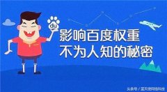 SEO干货：深度揭秘百度权重的本质