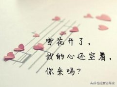 seo从零开始做运营，你需要准备什么？