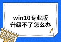 win10专业版升级不了怎么办