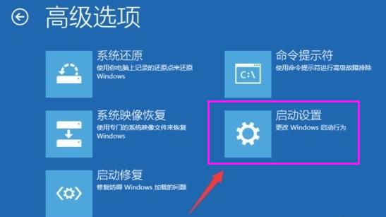 win10账户被停用进不了系统咋办