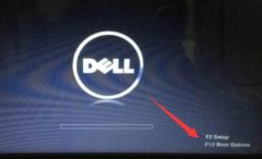 戴尔笔记本怎么设置U盘启动？