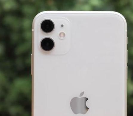 iPhone11：你真棒，恭喜你了