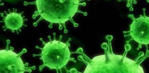 怎么才可以彻底消灭电脑上的病毒？