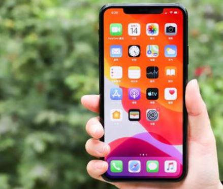 iPhone11真机使用半个月，不黑不吹，信号明显比10好很多