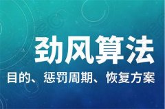 百度劲风算法上线，对网站恶意构造聚合页进行打击