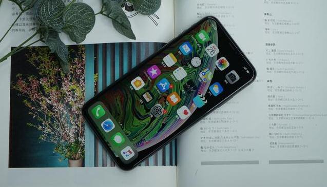 从9599降至5399，6.5英寸顶级屏幕+iOS13，网友：库克彻底妥协了