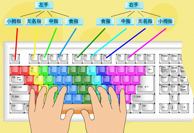 电脑键盘正确指法图