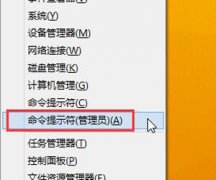 Win8系统电脑浏览器不能加载Flash插件的解决方法