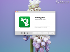 Boxcryptor for Mac(云储存加密工具)免费版