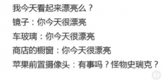 苹果前置拍下来的模样就是别人眼中我的样子吗？