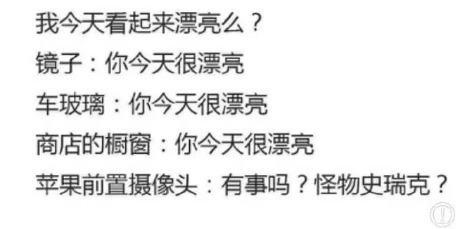 苹果前置拍下来的模样就是别人眼中我的样子吗？真的那么丑吗？