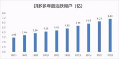 新电商拼多多市值千亿美元了，但“新电商”到底是什么？