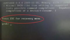 开机黑屏提示：press esc for recovery menu