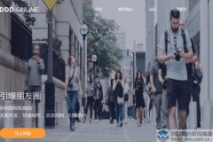 精品三字母域名ddd.online搭建在线3D网