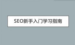 SEO新手基础入门教程，应该怎么学？_seo排名是什么