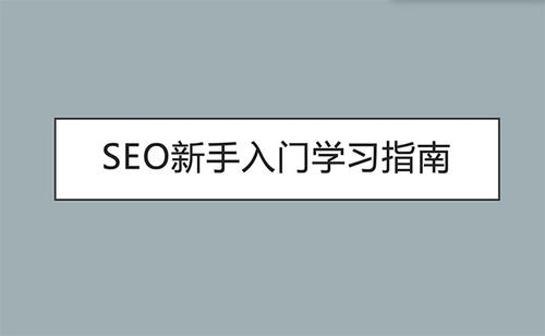 SEO新手基础入门教程，应该怎么学？